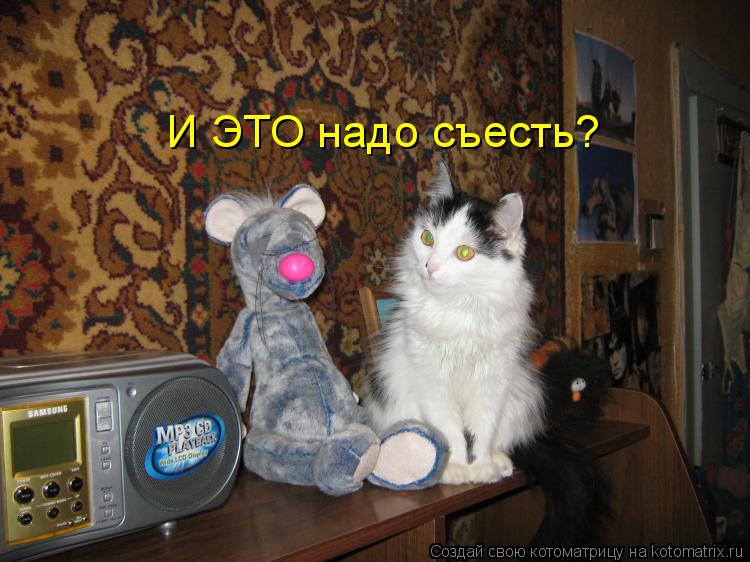 И ЭТО надо съесть?... Котоматрица: И ЭТО надо съесть?