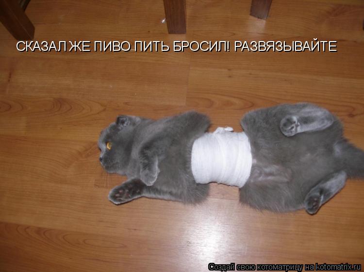 СКАЗАЛ ЖЕ ПИВО ПИТЬ БРОСИЛ! РАЗВЯЗЫВАЙТЕ... Котоматрица: СКАЗАЛ ЖЕ ПИВО ПИТЬ БРОСИЛ! РАЗВЯЗЫВАЙТЕ