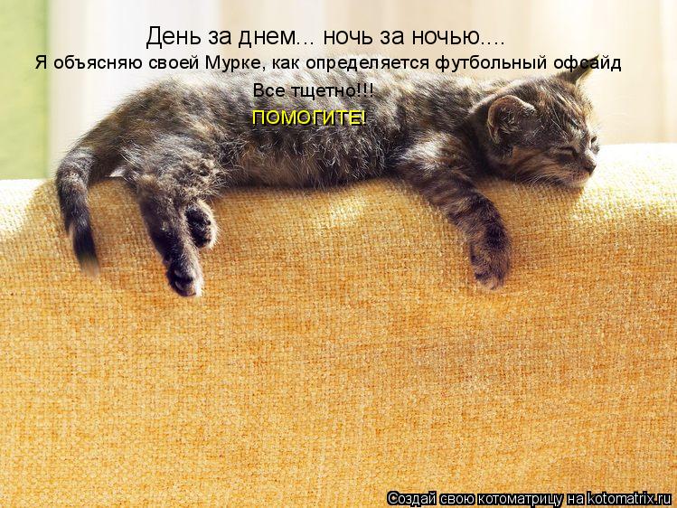 День за днем... ночь за ночью.... Я объясняю своей Мурке, как определяется футбольный офсайд Все тщет... Котоматрица: День за днем... ночь за ночью.... Я объясняю своей Мурке, как определяется футбольный офсайд Все тщетно!!! ПОМОГИТЕ!