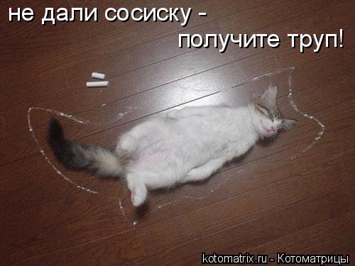 не дали сосиску - получите труп!... Котоматрица: не дали сосиску - получите труп!