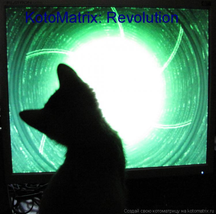 KotoMatrix: Revolution... Котоматрица: KotoMatrix: Revolution