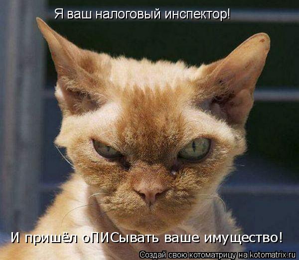 Я ваш налоговый инспектор! И пришёл оПИСывать ваше имущество!... Котоматрица: Я ваш налоговый инспектор! И пришёл оПИСывать ваше имущество!