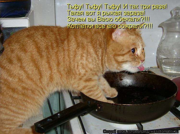Тьфу! Тьфу! Тьфу! И так три раза! Такая вот я рыжая зараза! Зачем вы Васю обежали?!!! Котлетки все ег... Котоматрица: Тьфу! Тьфу! Тьфу! И так три раза! Такая вот я рыжая зараза! Зачем вы Васю обежали?!!! Котлетки все его сожрали?!!!
