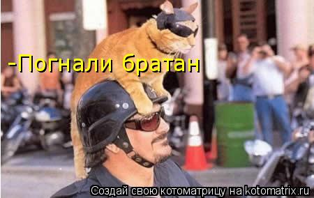 -Погнали братан... Котоматрица: -Погнали братан