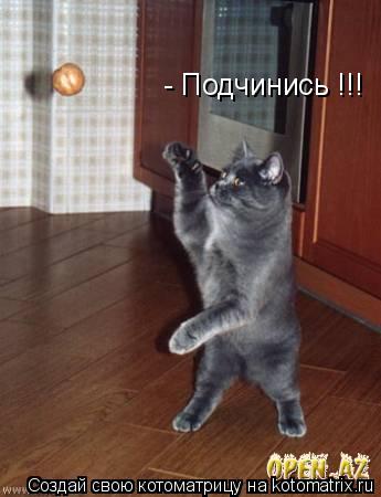 Котоматрица: - Подчинись !!!