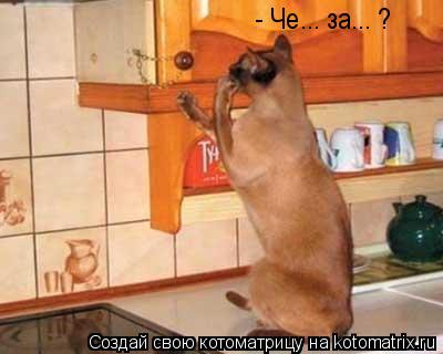 Котоматрица: - Че... за... ?