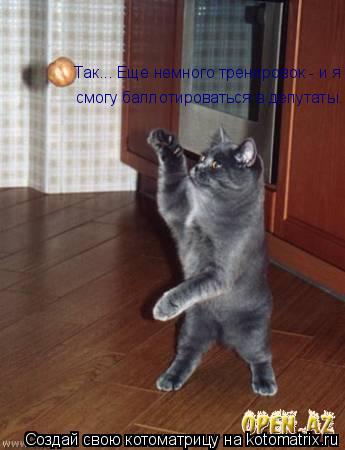 смогу баллотироваться в депутаты... Так... Еще немного тренировок - и я... Котоматрица: смогу баллотироваться в депутаты... Так... Еще немного тренировок - и я