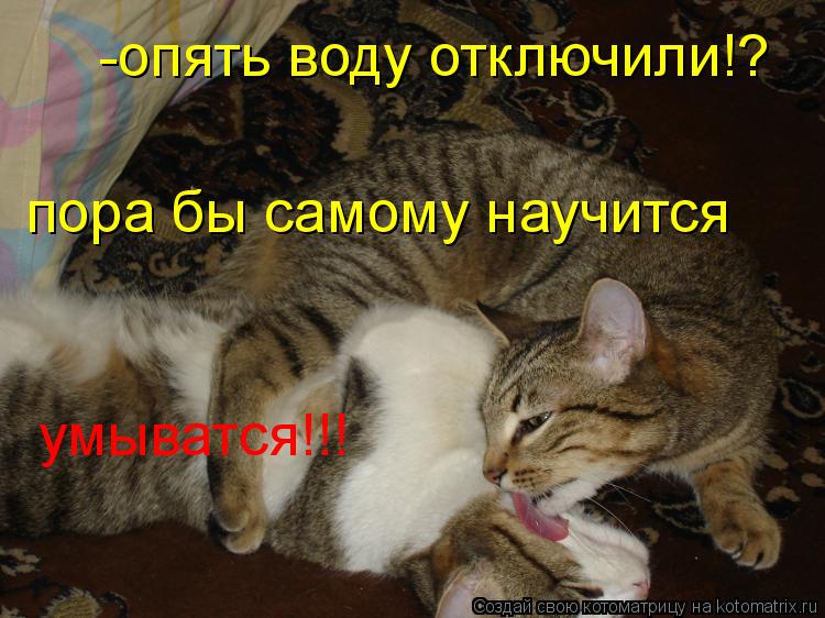 Котоматрица: -опять воду отключили!? пора бы самому научится умыватся!!! умыватся!!! умыватся!!!