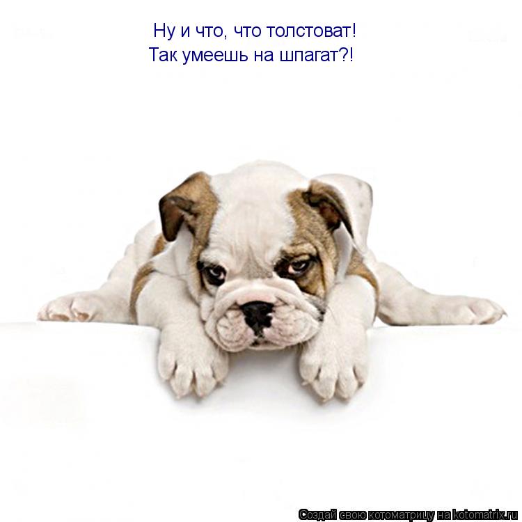 Ну и что, что толстоват! Так умеешь на шпагат?!... Котоматрица: Ну и что, что толстоват! Так умеешь на шпагат?!