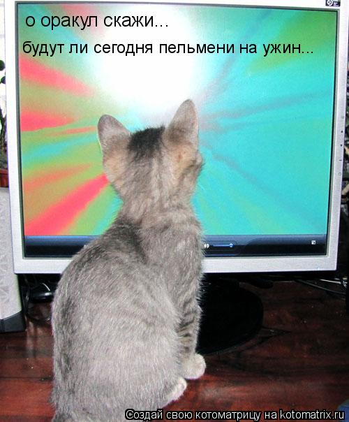 о оракул скажи... будут ли сегодня пельмени на ужин...... Котоматрица: о оракул скажи... будут ли сегодня пельмени на ужин...