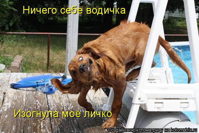 Ничего себе водичка Изогнула моё личко... Котоматрица: Ничего себе водичка Изогнула моё личко