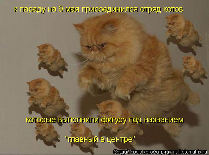 к параду на 9 мая присоединился отряд котов которые выполнили фигуру под названием "главный в центре... Котоматрица: к параду на 9 мая присоединился отряд котов которые выполнили фигуру под названием "главный в центре"