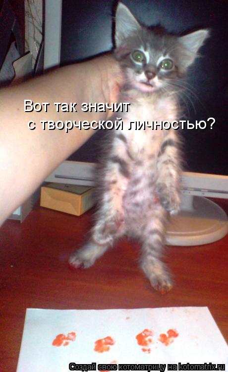 Вот так значит с творческой личностью?... Котоматрица: Вот так значит с творческой личностью?