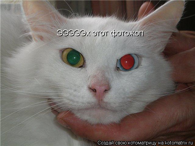 ЭЭЭЭЭх этот фотожоп... Котоматрица: ЭЭЭЭЭх этот фотожоп