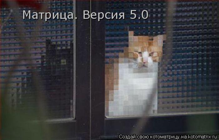 Матрица. Версия 5.0... Котоматрица: Матрица. Версия 5.0