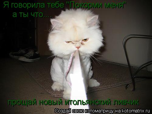 Я говорила тебе "Покорми меня" а ты что.... прощай новый итольянский ливчик... Котоматрица: Я говорила тебе "Покорми меня" а ты что.... прощай новый итольянский ливчик
