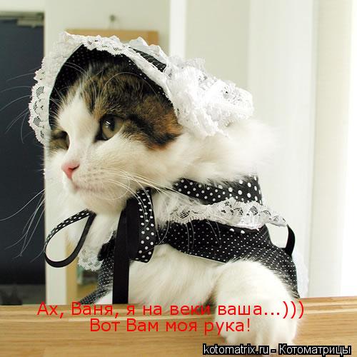 Ах, Ваня, я на веки ваша...))) Вот Вам моя рука!... Котоматрица: Ах, Ваня, я на веки ваша...))) Вот Вам моя рука!