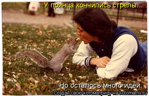 У принца кончились стрелы... Но осталось много идей.... Котоматрица: У принца кончились стрелы... Но осталось много идей.