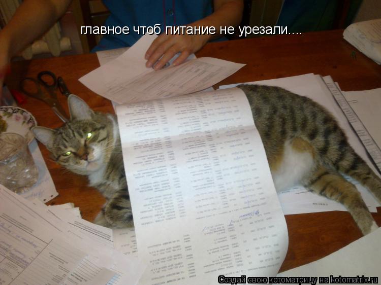 главное чтоб питание не урезали....... Котоматрица: главное чтоб питание не урезали....