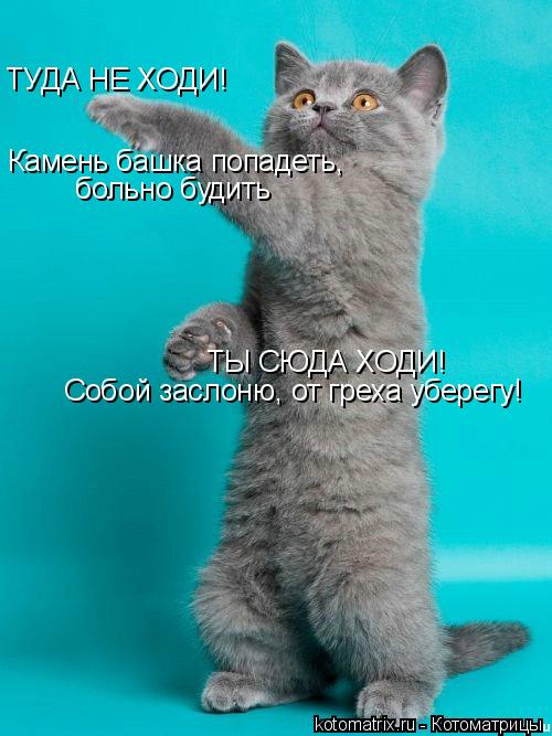 ТУДА НЕ ХОДИ! Камень башка попадеть, больно будить ТЫ СЮДА ХОДИ! Собой заслоню, от греха уберегу!... Котоматрица: ТУДА НЕ ХОДИ! Камень башка попадеть, больно будить ТЫ СЮДА ХОДИ! Собой заслоню, от греха уберегу!