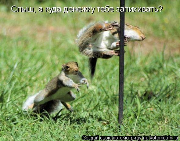 Слыш, а куда денежку тебе запихивать?... Котоматрица: Слыш, а куда денежку тебе запихивать?