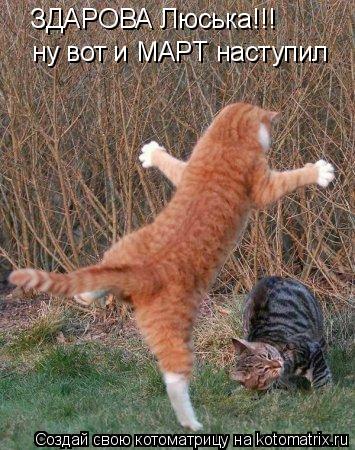 ЗДАРОВА Люська!!! ну вот и МАРТ наступил... Котоматрица: ЗДАРОВА Люська!!! ну вот и МАРТ наступил