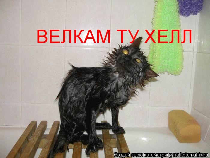 ВЕЛКАМ ТУ ХЕЛЛ... Котоматрица: ВЕЛКАМ ТУ ХЕЛЛ