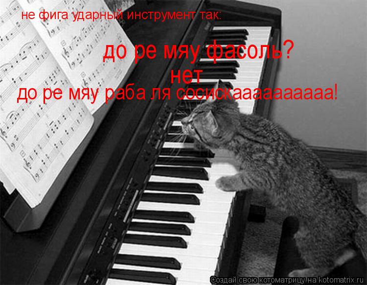 не фига ударный инструмент так: не фига ударный инструмент так: до ре мяу фасоль? не... Котоматрица: не фига ударный инструмент так: не фига ударный инструмент так: до ре мяу фасоль? нет до ре мяу раба ля сосискаааааааааа!