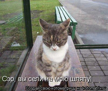 Сэр, вы сели на мою шляпу!... Котоматрица: Сэр, вы сели на мою шляпу!