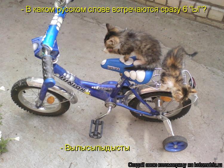 - В каком русском слове встречаются сразу 6 "Ы"? - Вылысыпыдысты... Котоматрица: - В каком русском слове встречаются сразу 6 "Ы"? - Вылысыпыдысты
