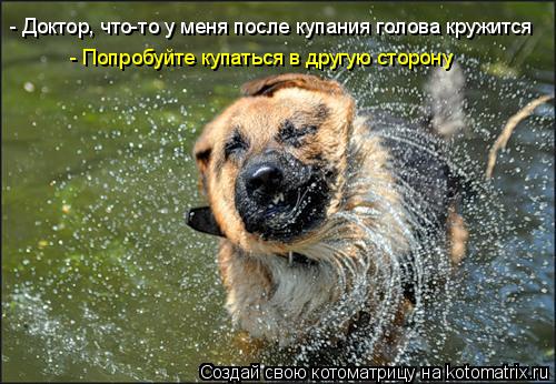 - Доктор, что-то у меня после купания голова кружится - Попробуйте купаться в другую сторону... Котоматрица: - Доктор, что-то у меня после купания голова кружится - Попробуйте купаться в другую сторону