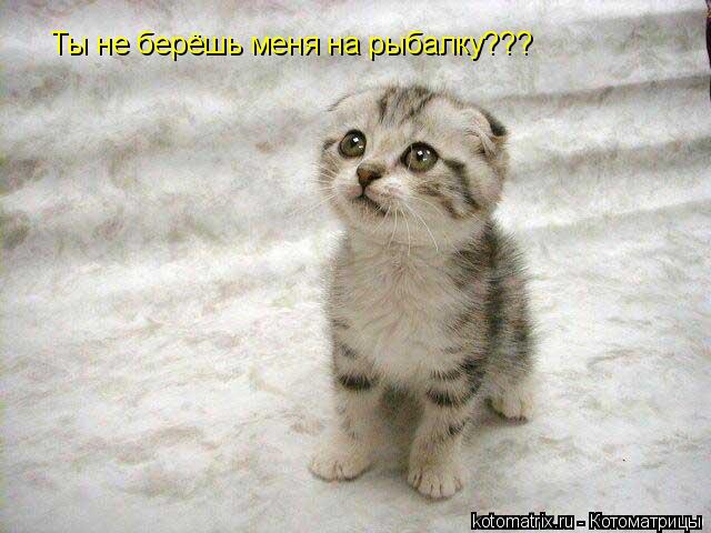 Ты не берёшь меня на рыбалку???... Котоматрица: Ты не берёшь меня на рыбалку???