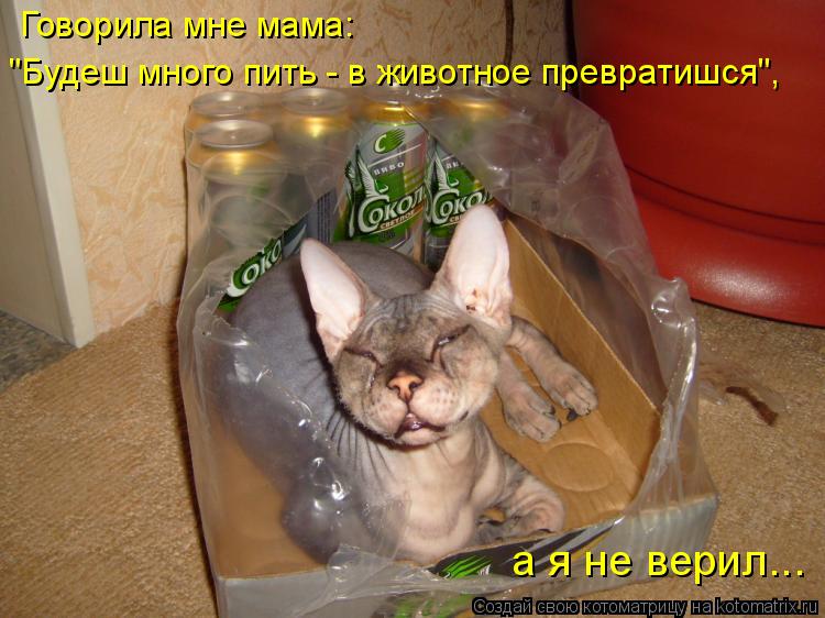 Говорила мне мама: "Будеш много пить - в животное превратишся", а я не верил...... Котоматрица: Говорила мне мама: "Будеш много пить - в животное превратишся", а я не верил...