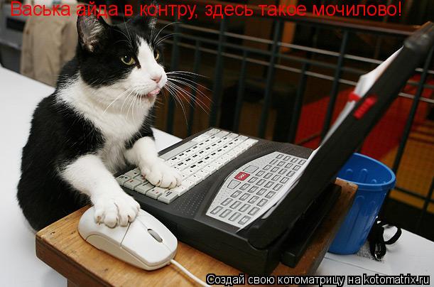 Васька айда в контру, здесь такое мочилово! Васька айда в контру, здесь такое мочилово!... Котоматрица: Васька айда в контру, здесь такое мочилово! Васька айда в контру, здесь такое мочилово!