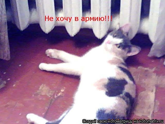 Не хочу в армию!!!... Котоматрица: Не хочу в армию!!!