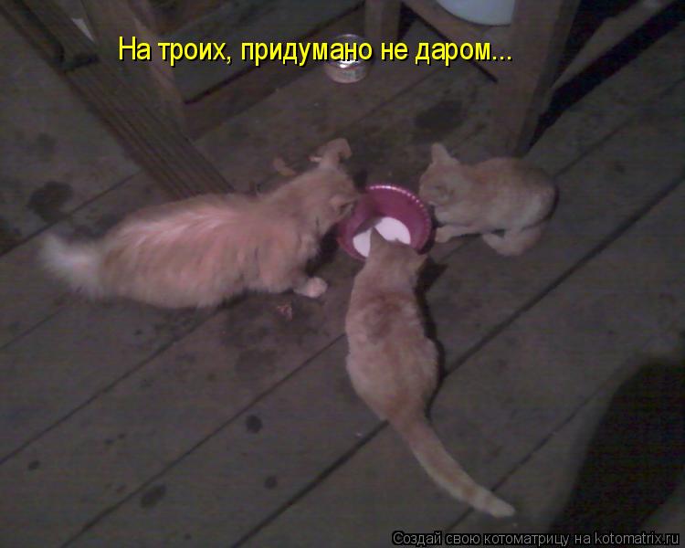 На троих, придумано не даром...... Котоматрица: На троих, придумано не даром...