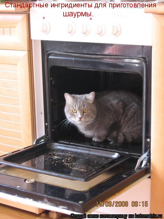 Стандартные ингридиенты для приготовления шаурмы.... Котоматрица: Стандартные ингридиенты для приготовления шаурмы.