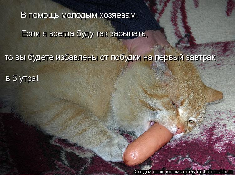 Если я всегда буду так засыпать, то вы будете избавлены от побудки на первый завтрак в 5 утра! В пом... Котоматрица: Если я всегда буду так засыпать, то вы будете избавлены от побудки на первый завтрак в 5 утра! В помощь молодым хозяевам: