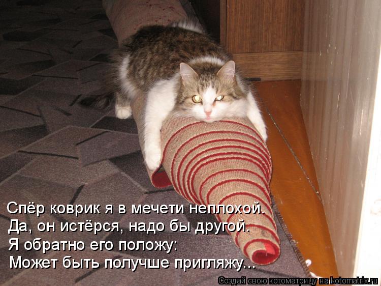 Спёр коврик я в мечети неплохой. Я обратно его положу: Может быть получше пригляжу... Да, он истёрся,... Котоматрица: Спёр коврик я в мечети неплохой. Я обратно его положу: Может быть получше пригляжу... Да, он истёрся, надо бы другой.