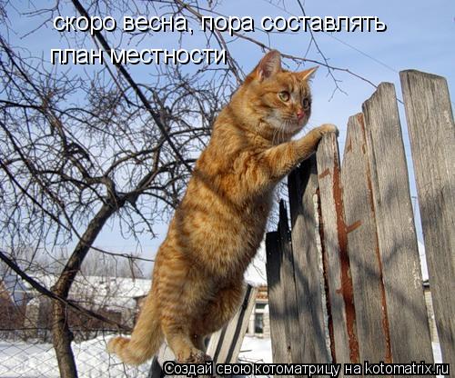 скоро весна, пора составлять план местности... Котоматрица: скоро весна, пора составлять план местности