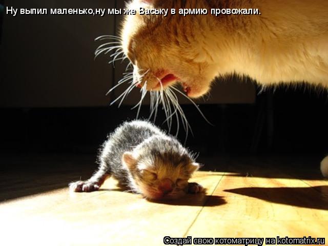 Ну выпил маленько,ну мы же Ваську в армию провожали.... Котоматрица: Ну выпил маленько,ну мы же Ваську в армию провожали.
