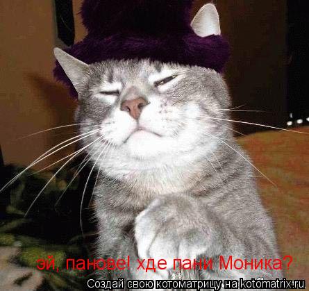 эй, панове! хде пани Моника?... Котоматрица: эй, панове! хде пани Моника?