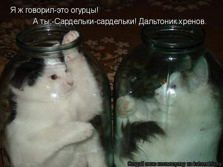 Я ж говорил-это огурцы! А ты:-Сардельки-сардельки! Дальтоник хренов.... Котоматрица: Я ж говорил-это огурцы! А ты:-Сардельки-сардельки! Дальтоник хренов.