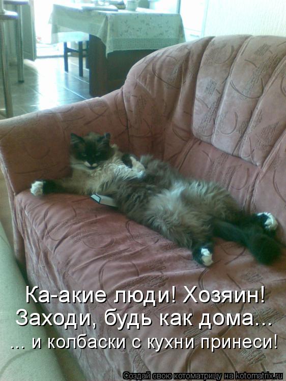 Ка-акие люди! Хозяин! Заходи, будь как дома... ... и колбаски с кухни принеси!... Котоматрица: Ка-акие люди! Хозяин! Заходи, будь как дома... ... и колбаски с кухни принеси!