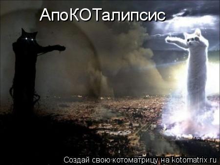 АпоКОТалипсис... Котоматрица: АпоКОТалипсис