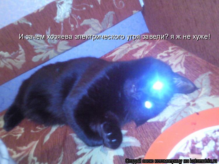 И зачем хозяева электрического угря завели? я ж не хуже!... Котоматрица: И зачем хозяева электрического угря завели? я ж не хуже!