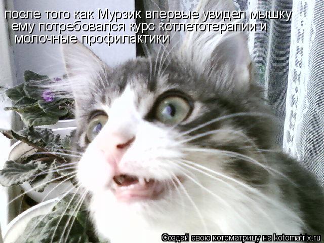 после того как Мурзик впервые увидел мышку ему потребовался курс котлетотерапии и молочные профилакт... Котоматрица: после того как Мурзик впервые увидел мышку ему потребовался курс котлетотерапии и молочные профилактики