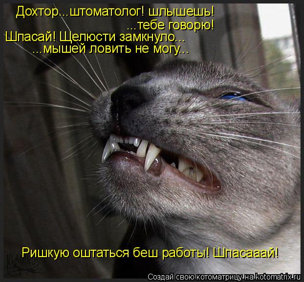 Дохтор...штоматолог! шлышешь! ...тебе говорю! Шпасай! Щелюсти замкнуло... ...мышей ловить не могу... ... Котоматрица: Дохтор...штоматолог! шлышешь! ...тебе говорю! Шпасай! Щелюсти замкнуло... ...мышей ловить не могу... Ришкую оштаться беш работы! Шпасааай!