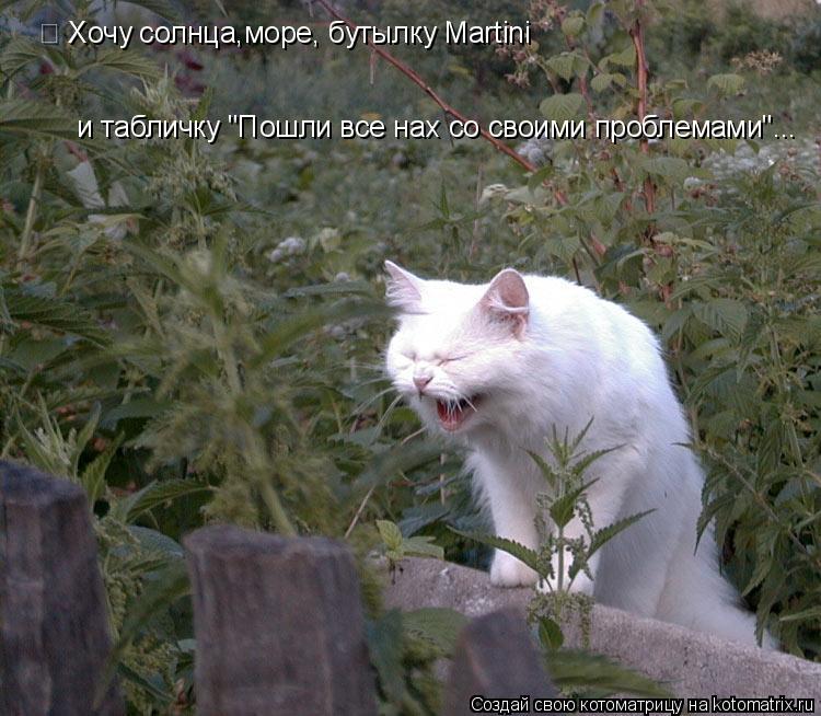 Хочу солнца,море, бутылку Martini и табличку "Пошли все нах со своими проблемами"...... Котоматрица: Хочу солнца,море, бутылку Martini и табличку "Пошли все нах со своими проблемами"...