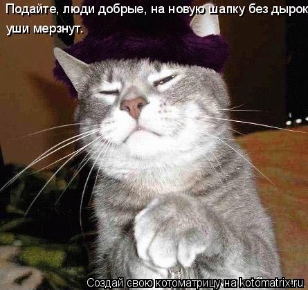 Подайте, люди добрые, на новую шапку без дырок! уши мерзнут.... Котоматрица: Подайте, люди добрые, на новую шапку без дырок! уши мерзнут.